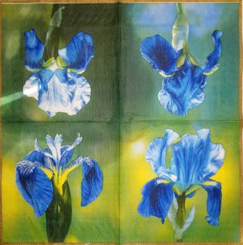 045 Lilies -  3 ply (blue) - Ihr